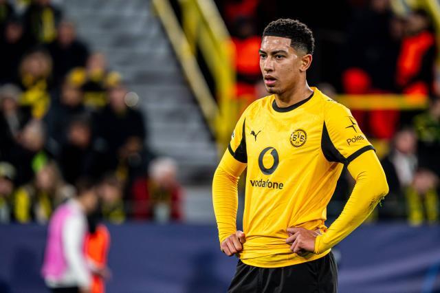 1772121265054035072.jpg 小贝林.jpg